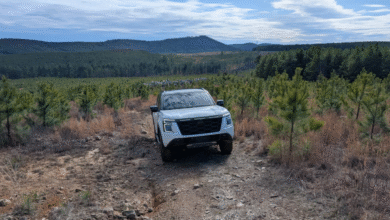 2025 Nissan Armada Pro-4X driving off-road in Ouachita Forest